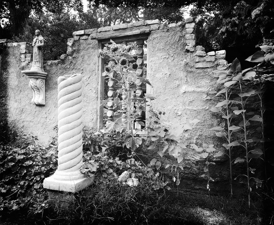 Simpson Hotel garden in black and white